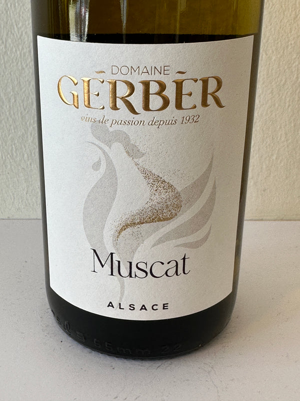 Muscat - Gerber